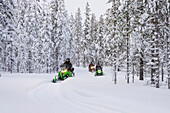 Touristen beim Motorschlittenfahren in einem verschneiten Wald im Winter, Lappland, Schweden, Skandinavien, Europa