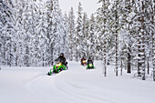 Tourists enjoying snowmobiling in a forest covered with snow in winter, Lapland, Sweden, Scandinavia, Europe