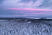 Luftaufnahme des arktischen verschneiten Waldes bei Sonnenuntergang, Riisitunturi-Nationalpark, Posio, Lappland, Finnland, Europa