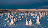 Sonnenaufgang über Eisskulpturen im verschneiten Wald, Luftaufnahme, Riisitunturi-Nationalpark, Posio, Lappland, Finnland, Europa