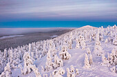Aerial view of ice sculptures, Oulanka National Park, Ruka Kuusamo, Lapland, Finland, Europe