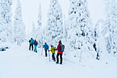 Familie bei einem Spaziergang in einem verschneiten Wald auf einem Winterwanderweg, Riisitunturi-Nationalpark, Posio, Lappland, Finnland, Europa