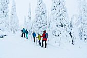 Family enjoying walking in a frozen snowy forest on a winter trail, Riisitunturi National Park, Posio, Lapland, Finland, Europe