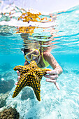 Woman showing a yellow starfish underwater in the tropical lagoon, Zanzibar, Tanzania, East Africa, Africa