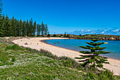 Sandy beach on Emily Bay, UNESCO World Heritage Site, Norfolk Island, Australia, Pacific