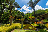 Sitio Roberto Burle Marx, ein Landschaftsgarten, UNESCO-Weltkulturerbe, Rio de Janeiro, Brasilien, Südamerika