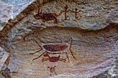 Felsmalerei an der Pedra Furada, Nationalpark Serra da Capivara, UNESCO-Welterbe, Piaui, Brasilien, Südamerika