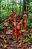 Yanomami-Stamm wandert durch den Dschungel, Südvenezuela, Südamerika