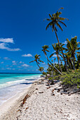 Weißer Sandstrand PK-9, Fakarava, Tuamotu-Archipel, Französisch-Polynesien, Südpazifik, Pazifik