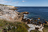 Rocky Shoreline at Duncan's Cove Nature Reserve, Nova Scotia, Canada, North America