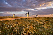 Windmühlen, Campo de Criptana, Ciudad Real, Kastilien-La Mancha, Spanien, Europa