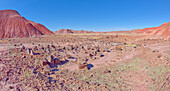 Ein Feld aus zersplittertem Holz im Tiponi Canyon im Petrified Forest National Park, Arizona, Vereinigte Staaten von Amerika, Nordamerika