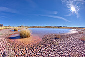The shallow pond called Dry Creek Tank along the Red Basin Trail, Petrified Forest National Park, Arizona, United States of America, North America