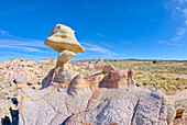 A rock hoodoo in Pharaoh's Garden that resembles a Duck head, Petrified Forest, Arizona, United States of America, North America
