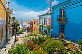 Colorful houses of Templeman staircase, UNESCO World Heritage Site, Cerro Alegre, Valparaiso, Chile, South America