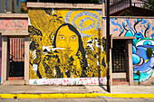 Bemalte Wandmalerei an einem Wohnhaus in der Avenida Alemania, Cerro Alegre, Valparaiso, Chile, Südamerika