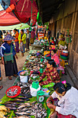 Birmesische Frauen verkaufen Fisch auf dem lokalen Markt, Inle-See, Nyaungshwe, Shan-Staat, Myanmar (Burma), Asien
