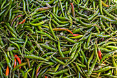 Detail von grünen Chilischoten auf dem Markt, Hsipaw, Shan-Staat, Myanmar (Birma), Asien