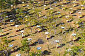 Blick von oben auf den Garten der Tausend Buddhas, Monywa, Myanmar (Burma), Asien