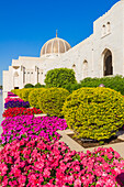 Blumen und Kuppel der Großen Sultan-Gaboos-Moschee, Muscat, Oman, Naher Osten