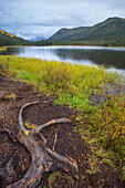 Triple Lakes, Denali National Park, Alaska, United States of America, North America