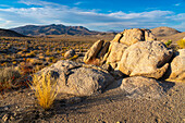 Scenic view of desert of Death Valley National Park during sunset, Eastern California, California, United States of America, North America