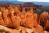 Popular rock formation (hoodoo) named Thor's Hammer taken from Navajo Loop Trail, Bryce Canyon National Park, Utah, United States of America, North America