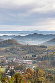Hills and vineyards of the Langhe, UNESCO World Heritage Site, on an autumn day, Alba, Langhe, Cuneo district, Piedmont, Italy, Europe