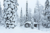 Gefrorene Hütte im schneebedeckten arktischen Wald, Akaslompolo, Kolari, Pallas-Yllastunturi-Nationalpark, Lappland, Finnland, Europa