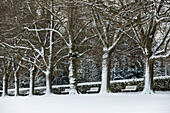 Parkbank nach dem Schneestaub in der Innenstadt von Vancouver, Vancouver, British Columbia, Kanada, Nordamerika