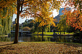 Herbst im öffentlichen Garten von Boston, Boston, Massachusetts, Neuengland, Vereinigte Staaten von Amerika, Nordamerika