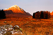 Buachaille Etive Mor vom King's Hotel, Rannoch Moor, Highlands, Schottland, Vereinigtes Königreich, Europa