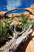 Landscape Arch, Arches National Park, Utah, Vereinigte Staaten von Amerika, Nordamerika