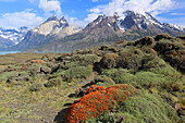 Torres del Paine National Park, Patagonien, Chile, Südamerika