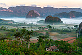 Val de Vinales, UNESCO World Heritage Site, early morning mist, Vinales, Cuba, West Indies, Caribbean, Central America