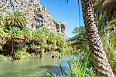 Blick auf den Fluss Megalopotamos und den Palmenwald von Preveli, Rethymno, Kreta, Griechische Inseln, Griechenland, Europa