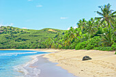 Tropical beach, Waya Island, Yasawa island group, Fiji, South Pacific Islands, Pacific