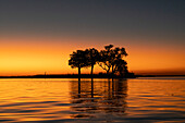 Sunset on the River Chobe, Chobe National Park, Botswana, Africa