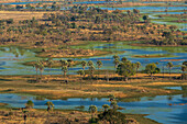 Luftaufnahme des Okavango-Deltas, UNESCO-Weltnaturerbe, Botsuana, Afrika