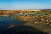 Luftaufnahme des Okavango-Deltas, UNESCO-Welterbe, Botsuana, Afrika