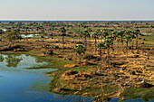 Luftaufnahme des Okavango-Deltas, UNESCO-Weltnaturerbe, Botsuana, Afrika