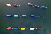 Aerial image of colourful boats moored in a harbour, Cornwall, England, United Kingdom, Europe