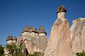 Fairy Chimneys, Pasabag Valley (Monks Valley), UNESCO World Heritage Site, Nevsehir Province, Cappadocia Region, Anatolia, Turkey, Asia Minor, Asia