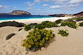 Playa de las Conchas, La Graciosa, Lanzarote, Canary Islands, Spain, Atlantic, Europe