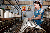 Woman working in a traditional silk factory, Tan Chau, Vietnam, Indochina, Southeast Asia, Asia
