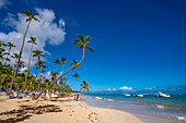 View of sea, beach and palm trees on a sunny day, Bavaro Beach, Punta Cana, Dominican Republic, West Indies, Caribbean, Central America