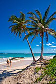 View of palm trees and sea at Bavaro Beach, Punta Cana, Dominican Republic, West Indies, Caribbean, Central America