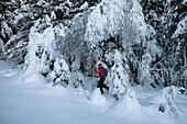 Junges Mädchen geht mit Schneeschuhen im verschneiten Wald, Piazzola alp, Castello dell'Acqua, Provinz Sondrio, Valtellina, Lombardei, Italien, Europa