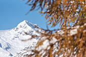 Der Berg Sissone nach dem Schneefall, Provinz Sondrio, Lombardei, Italien, Europa