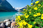 Lake Louise, Banff national park, Alberta, Canada